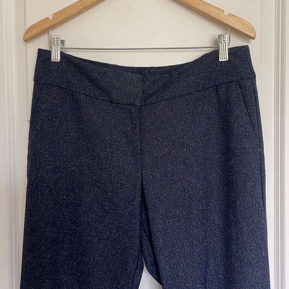 Ann Taylor Women’s Flat Front Trouser Pants Blue 10 - Picture 2 of 7